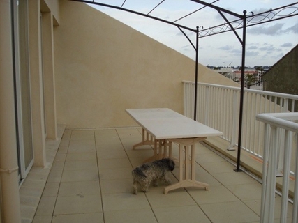 Location Grau du Rois Hublots studio terrasse